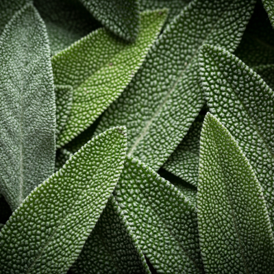 Advisor Practices Image 2